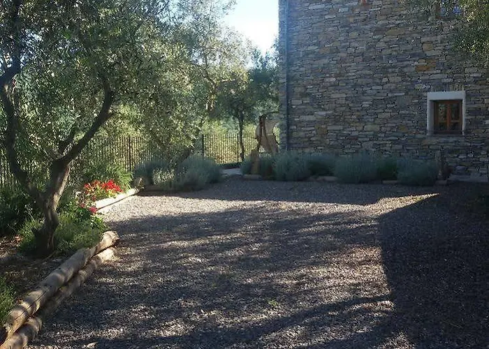 Agriturismo Dinoabbo Ulivi Lägenhet *