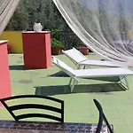 Dinoabbo Ulivi *