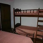 Dinoabbo Ulivi *
