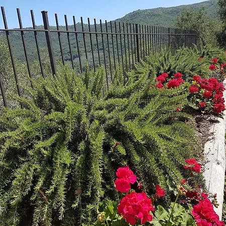 Agriturismo Dinoabbo Apt *