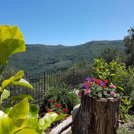 Agriturismo Dinoabbo Ulivi * Lucinasco