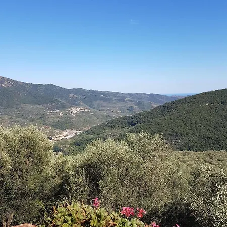 公寓 Agriturismo Dinoabbo Ulivi *