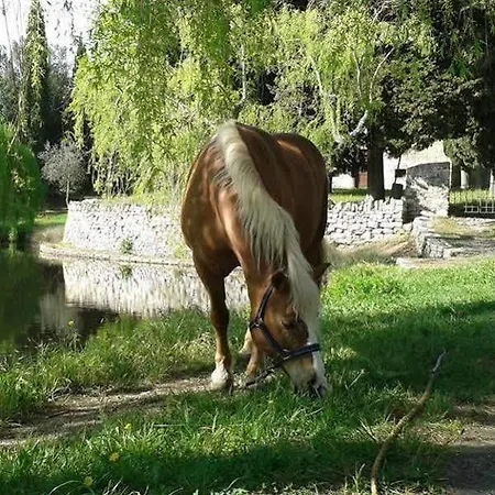 公寓 Agriturismo Dinoabbo Ulivi Lucinasco