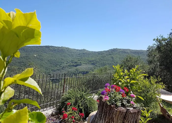 Agriturismo Dinoabbo Ulivi Lucinasco
