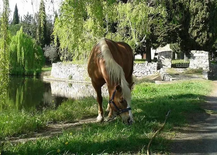 Lejlighed Dinoabbo Ulivi Lucinasco